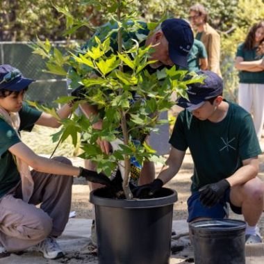 Students plant trees for Pacific Palisades affected by wildfires.